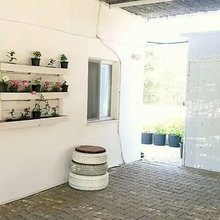 Apollon Butik Datça