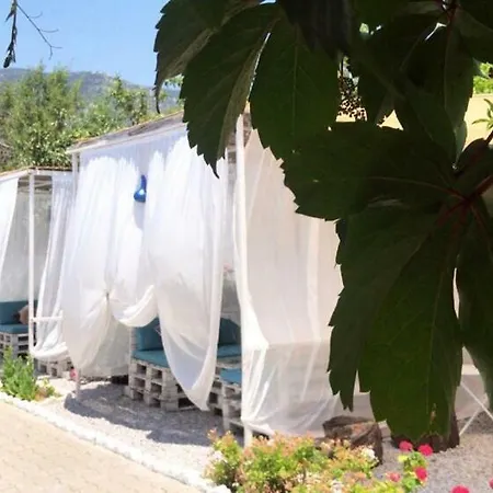 Apollon Butik