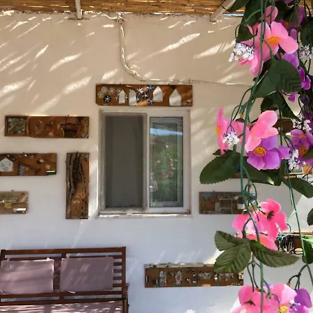 Apollon Butik