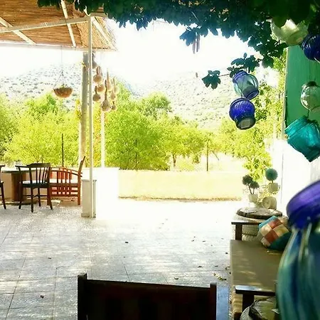 Apollon Butik *